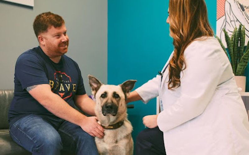 PetVet365 Pet Hospital Denver/Westminster