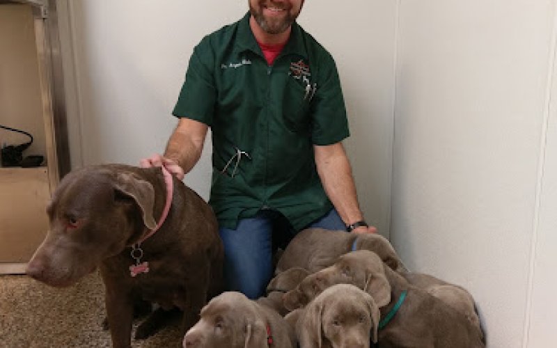 A Caring Heart Veterinary Hospital, LLC