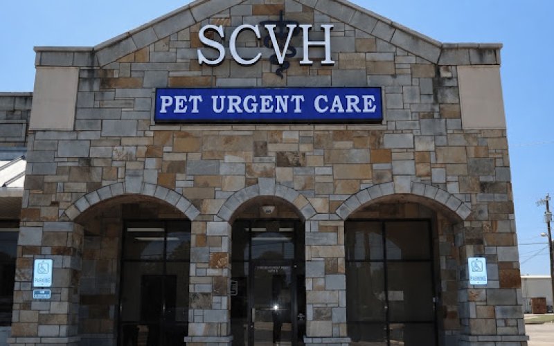 Salt Creek Veterinary Hospital- Urgent Care