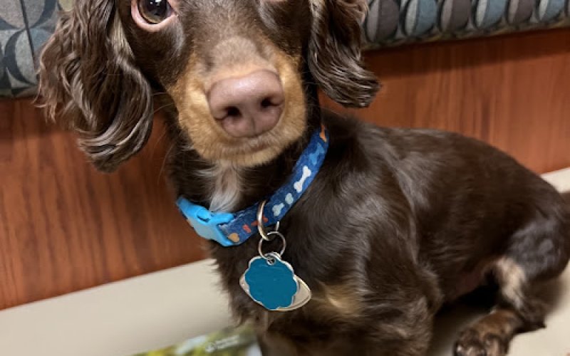 Caring Hearts Vet Clinic