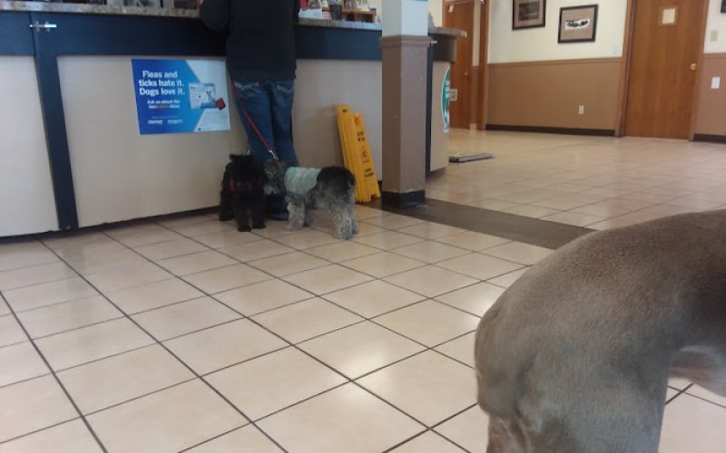Pet Haven Veterinary Clinic