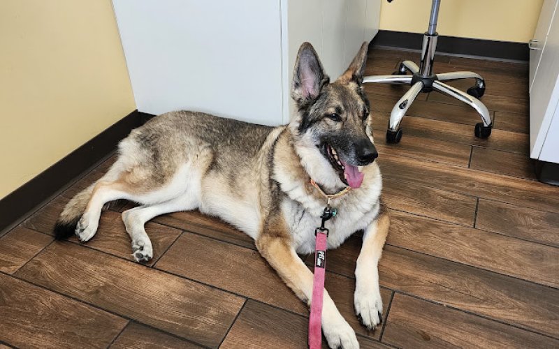 Prairie Ridge Animal Hospital