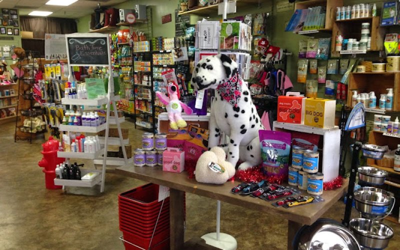 Aunt Kerry's Pet Stop