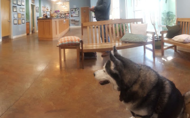 Wilmington Animal Healthcare Veterinary Hospital