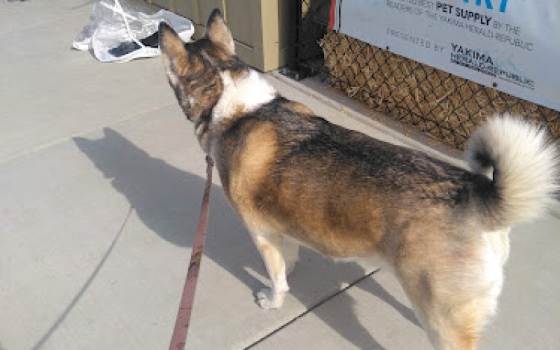 PET PANTRY TERRACE HEIGHTS
