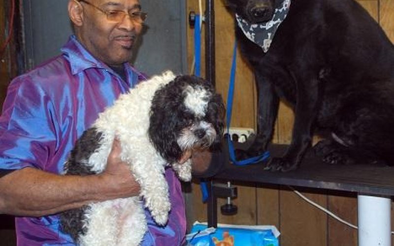 Yonkers Animal Hospital — Veterinarian in Yonkers